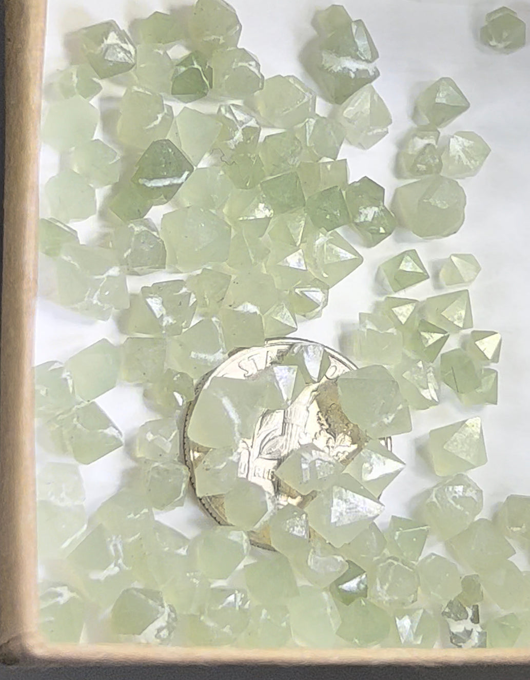 Actinolite included Cumberland habit Mongolian Quartz!