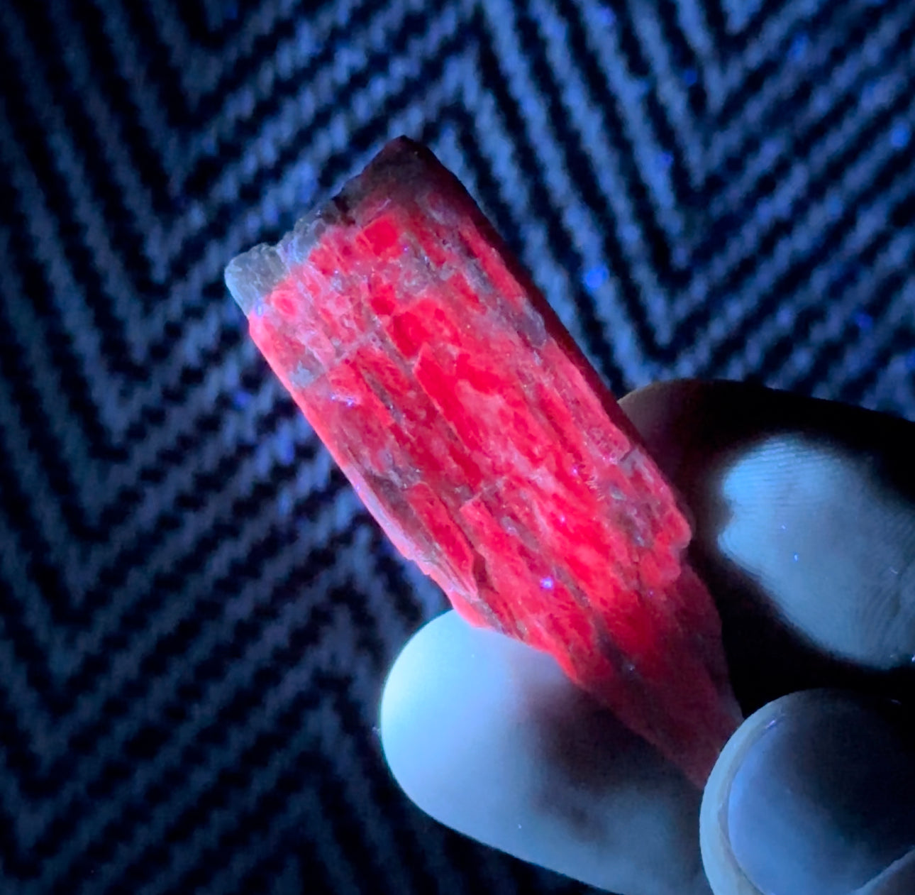 Chromium-rich Kyanite!