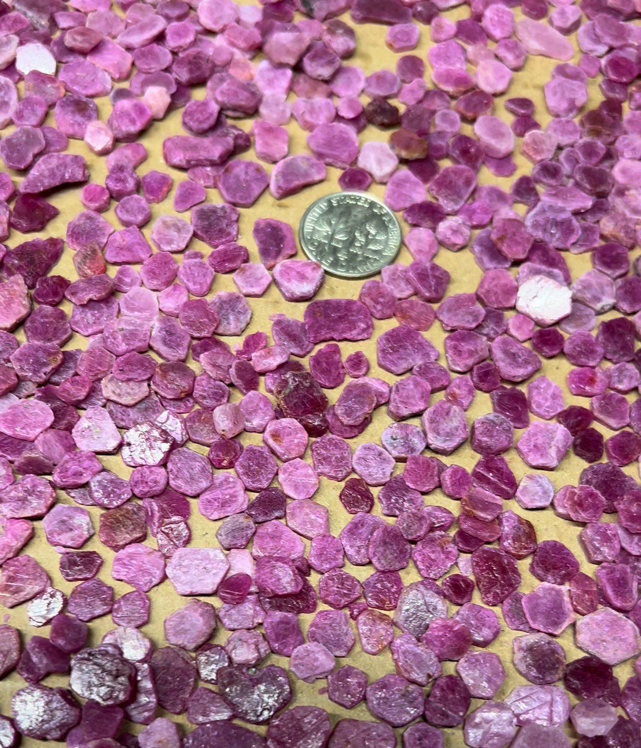 5 Madagascar Ruby Slices