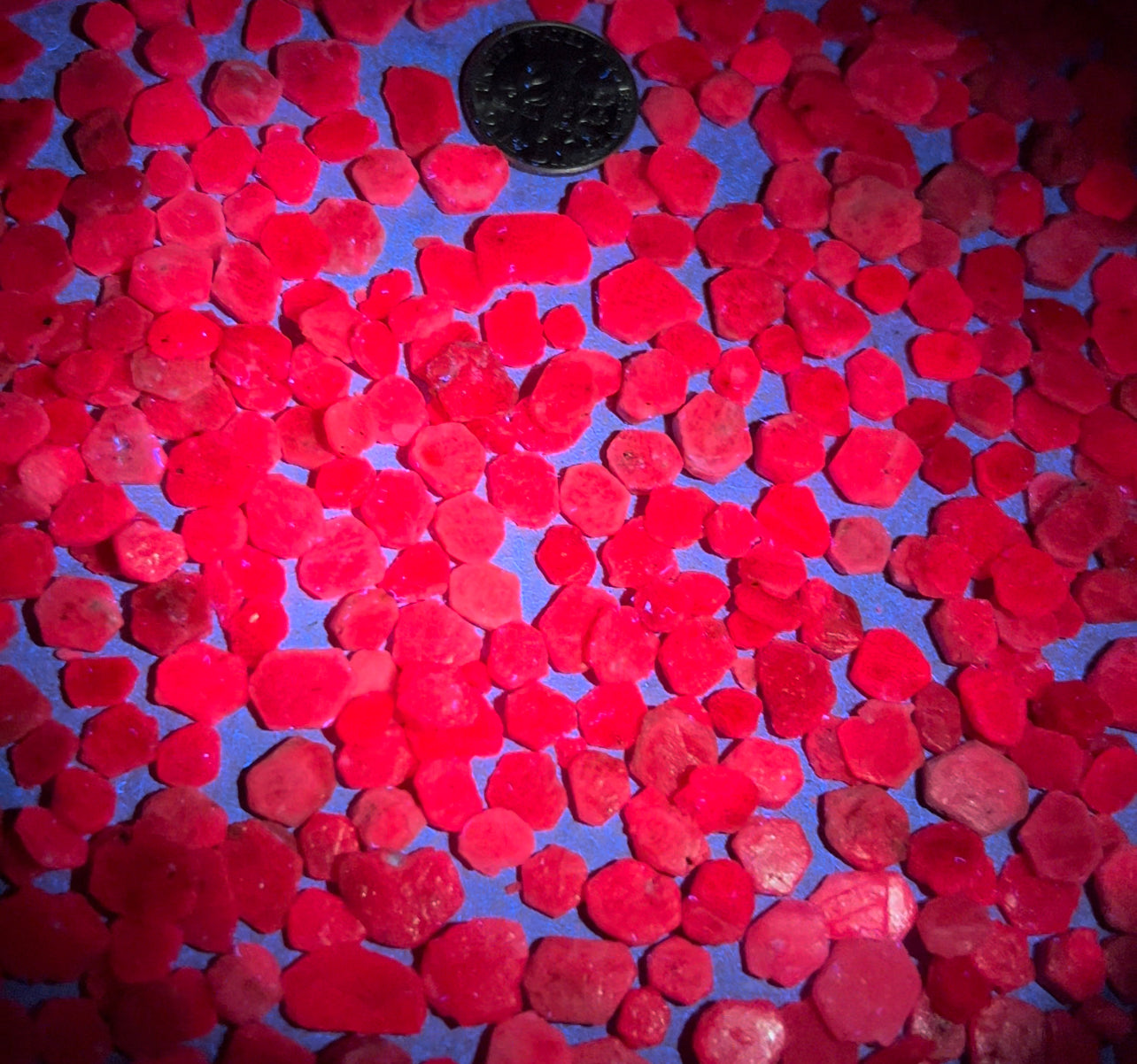 5 Madagascar Ruby Slices
