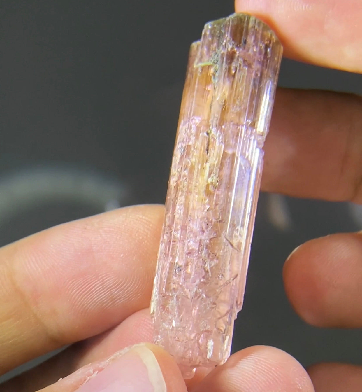 Mozambique Tourmaline!