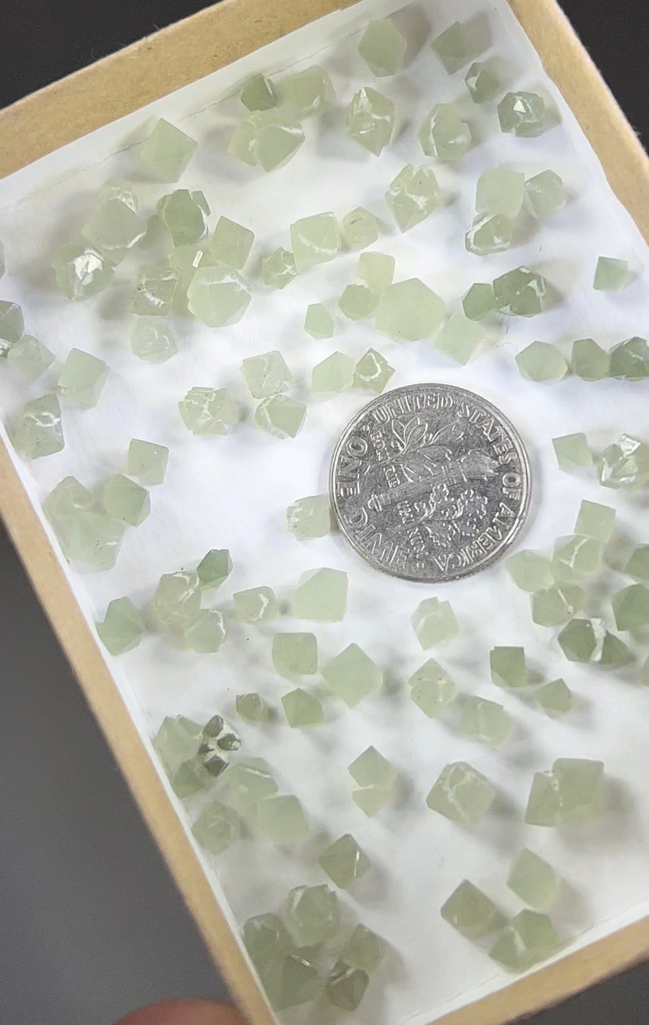 Actinolite included Cumberland habit Mongolian Quartz!