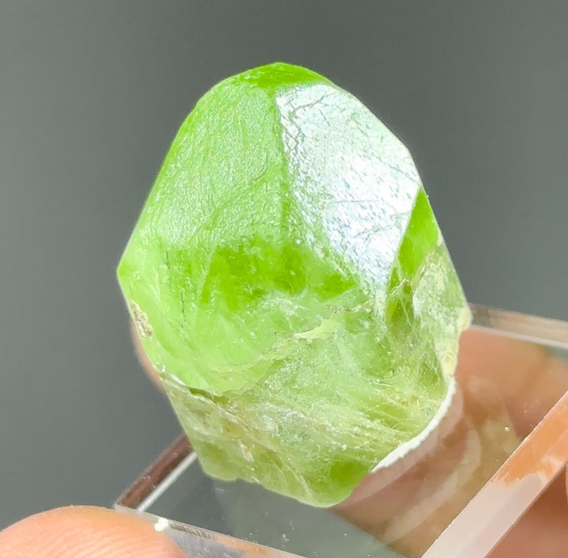Peridot with Ludwigite-Vonsenite inclusions!