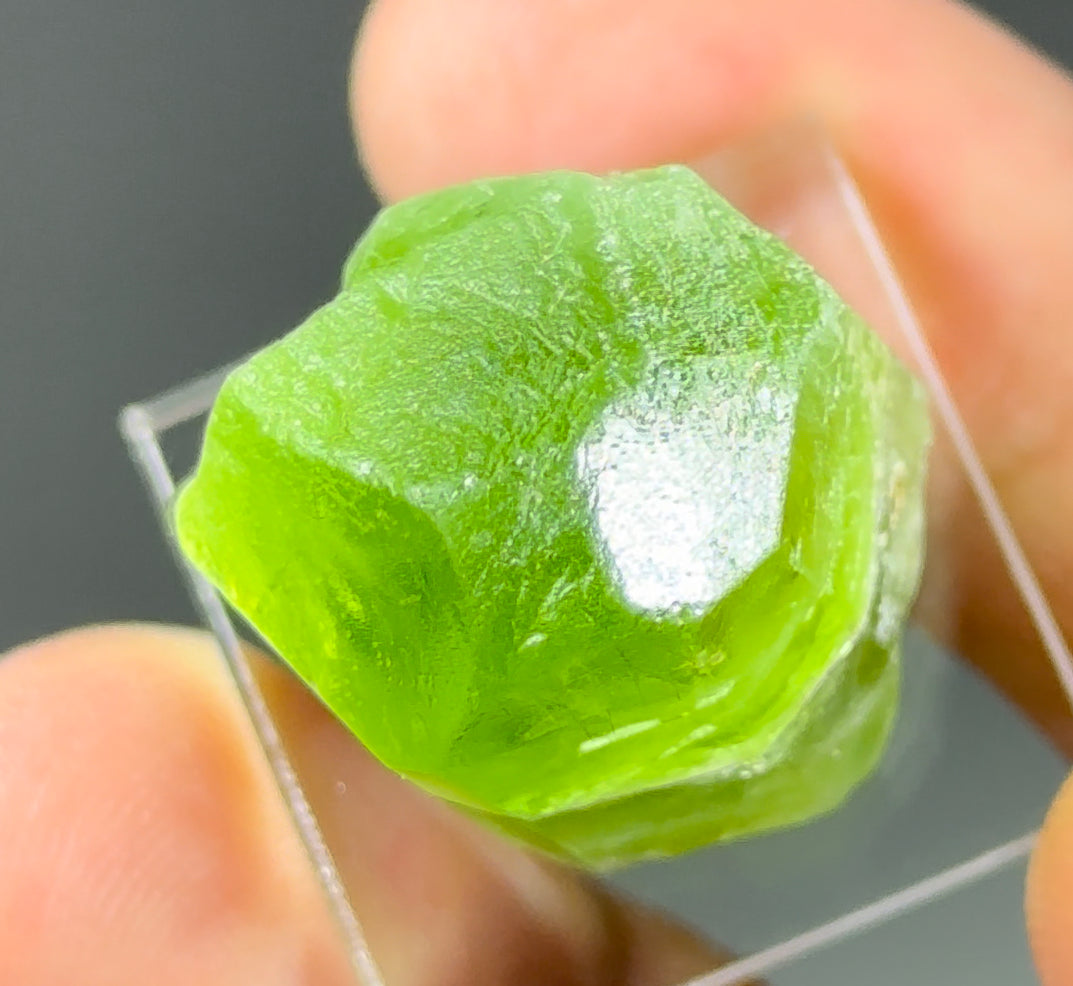 Peridot with Ludwigite-Vonsenite inclusions!
