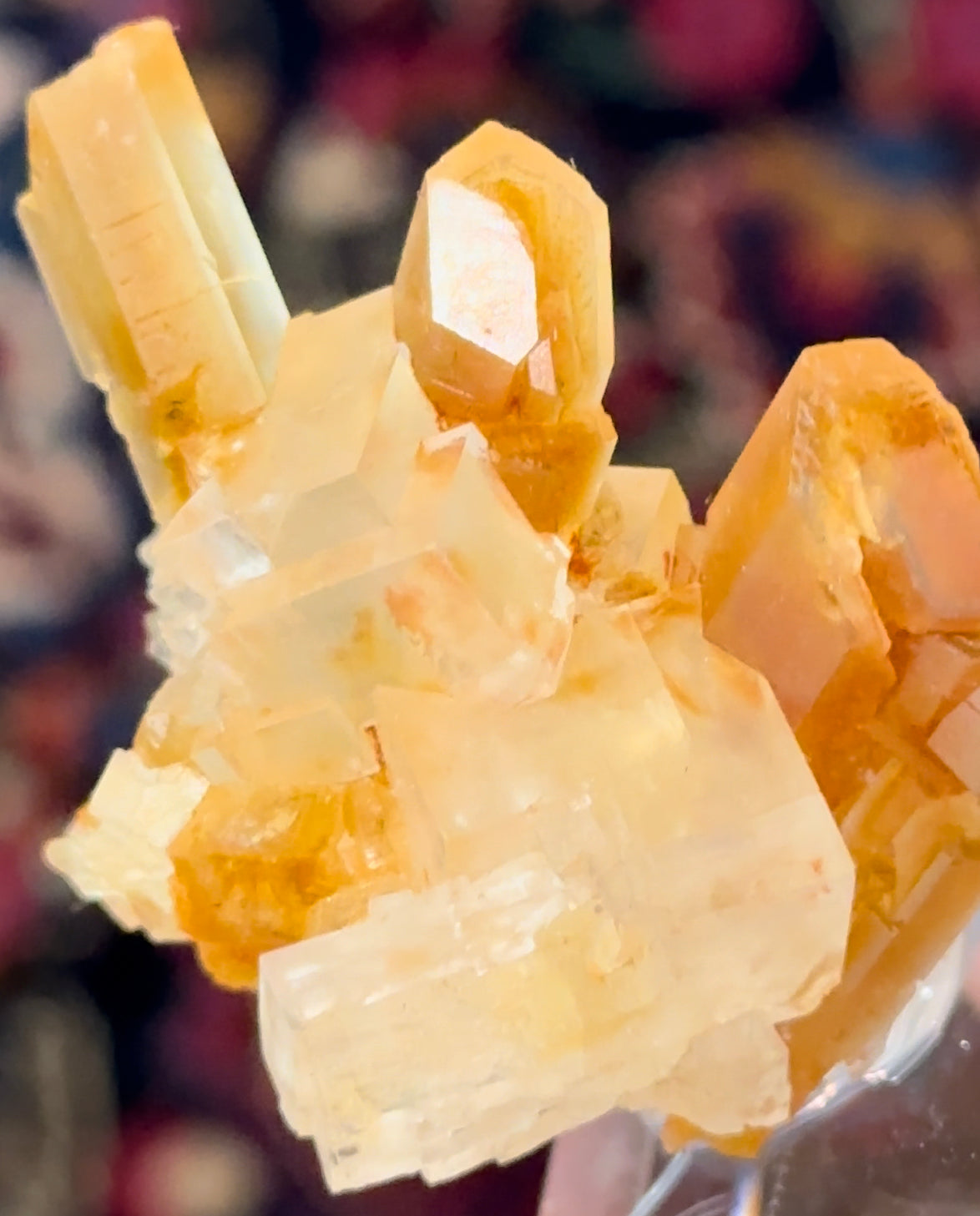 German Halite & Selenite!