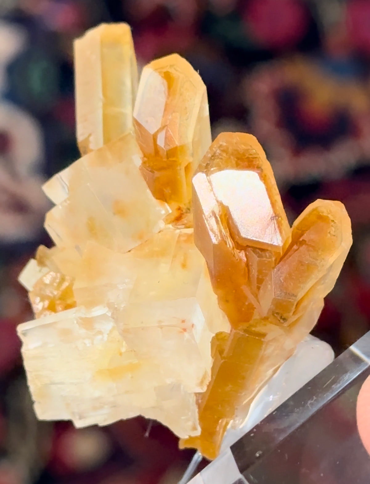 German Halite & Selenite!