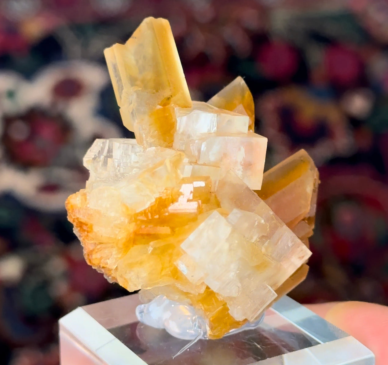 German Halite & Selenite!