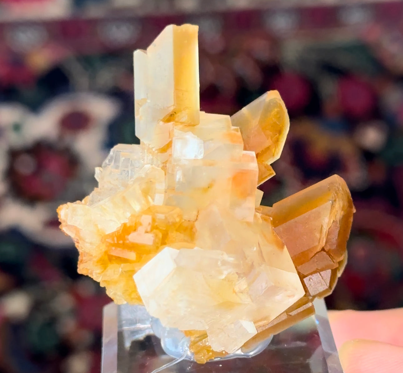 German Halite & Selenite!