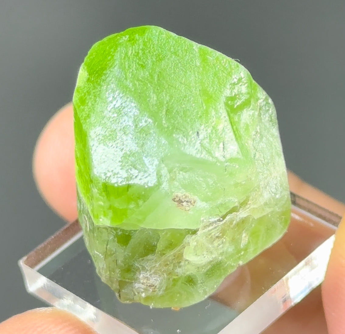 Peridot with Ludwigite-Vonsenite inclusions!
