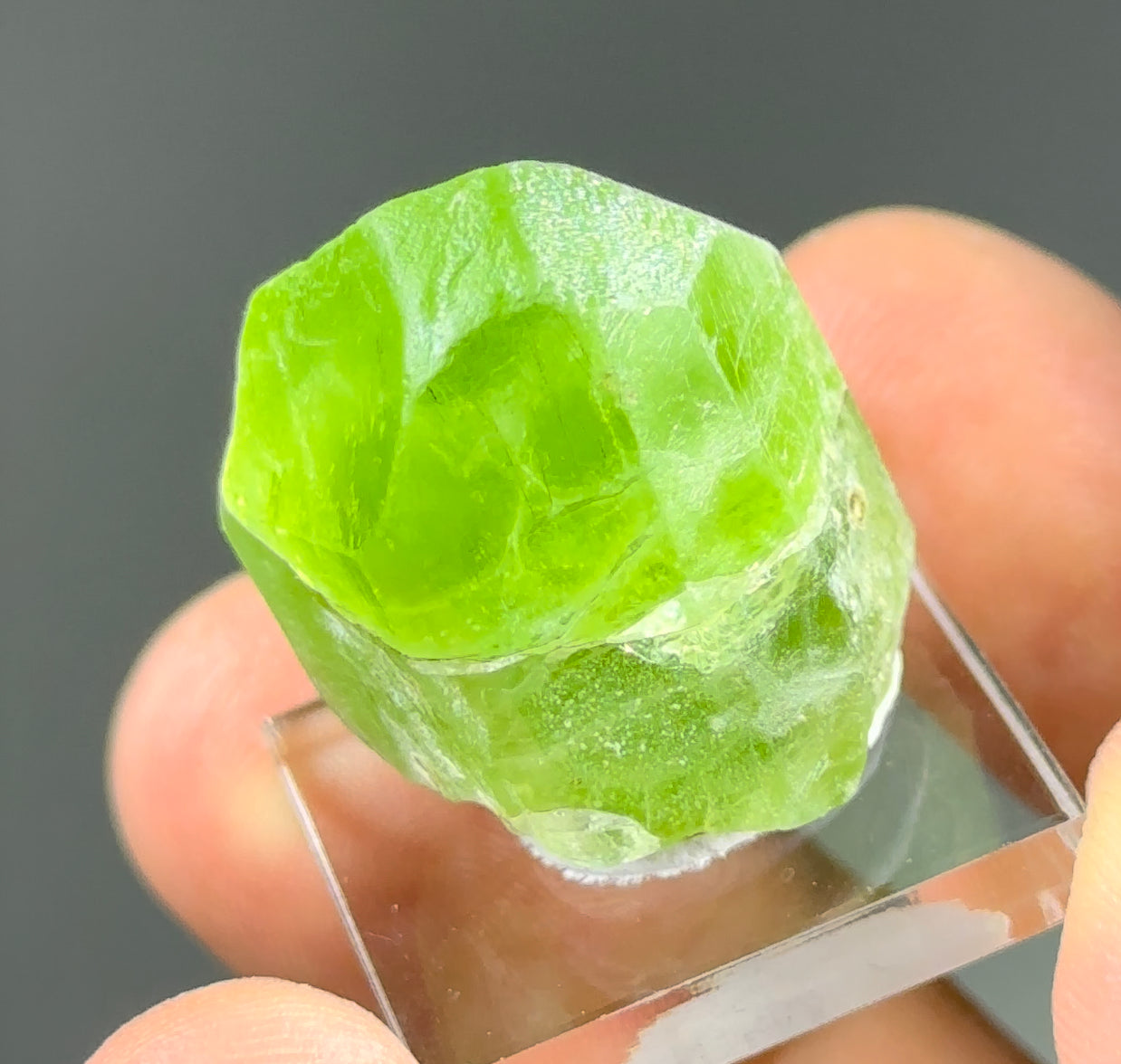 Peridot with Ludwigite-Vonsenite inclusions!