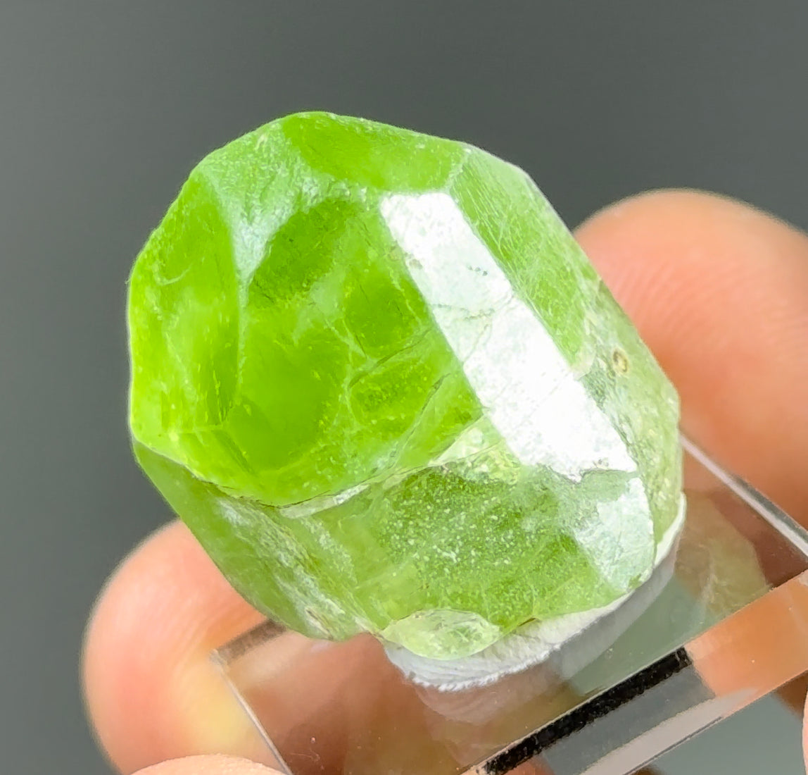 Peridot with Ludwigite-Vonsenite inclusions!