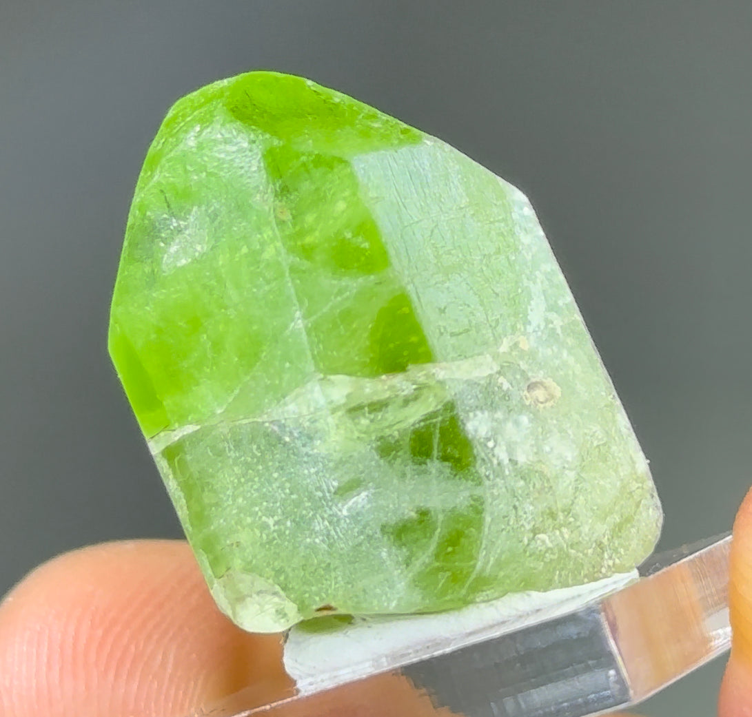 Peridot with Ludwigite-Vonsenite inclusions!