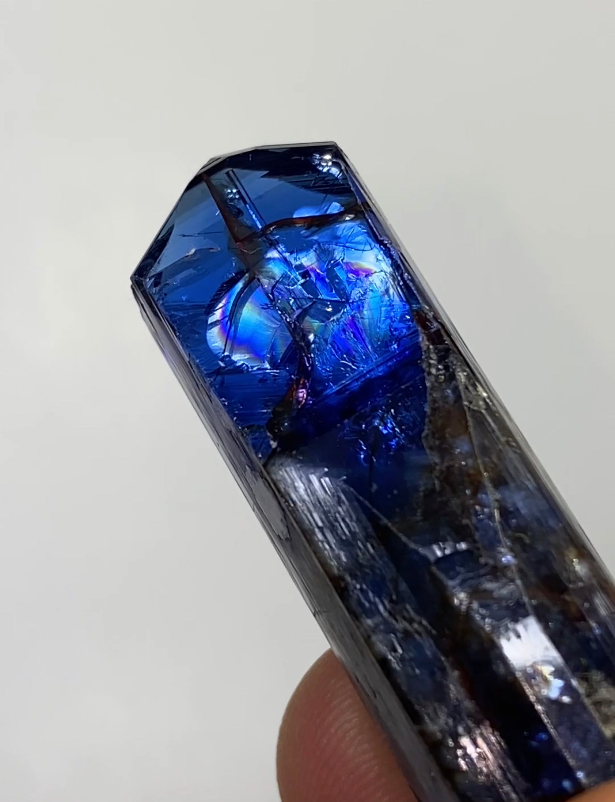 Cat’s Eye Tanzanite with rare inclusions!