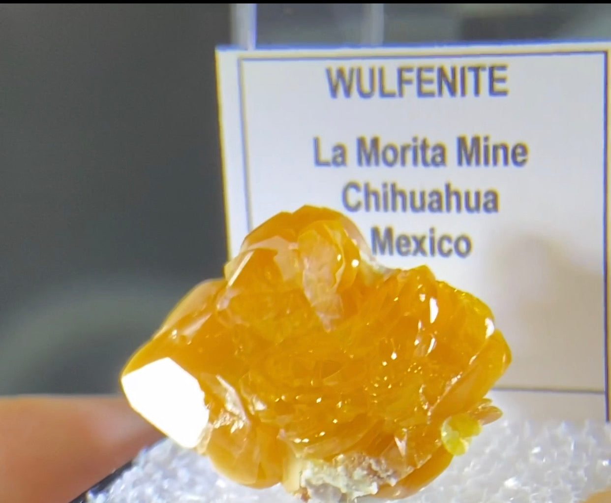 La Morita mine Wulfenite