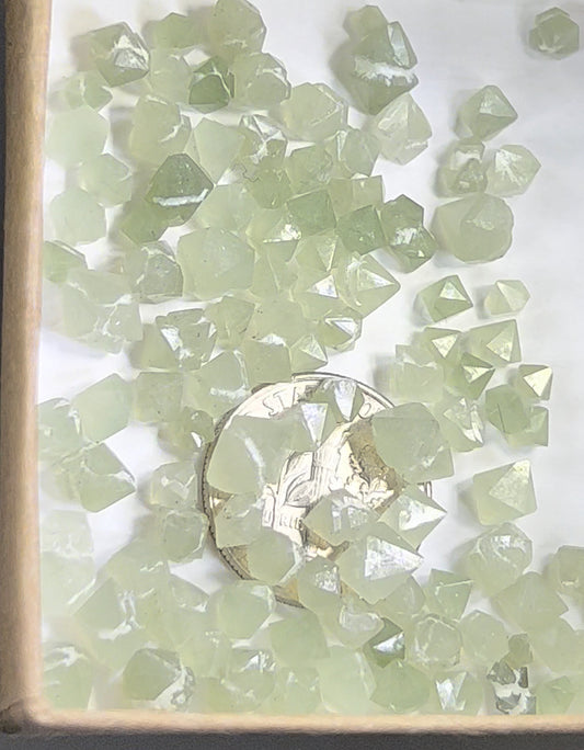 Actinolite included Cumberland habit Mongolian Quartz!