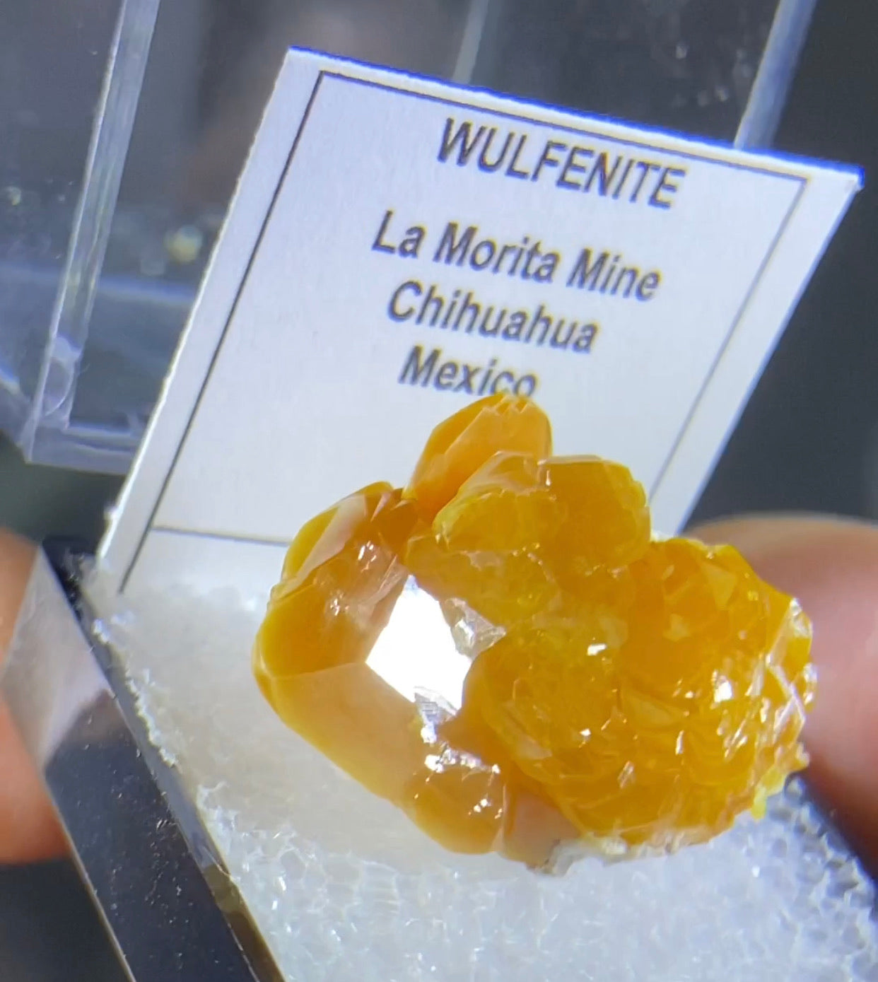 La Morita mine Wulfenite