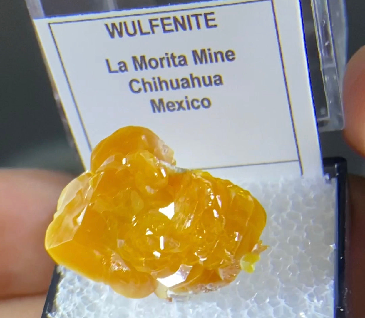La Morita mine Wulfenite