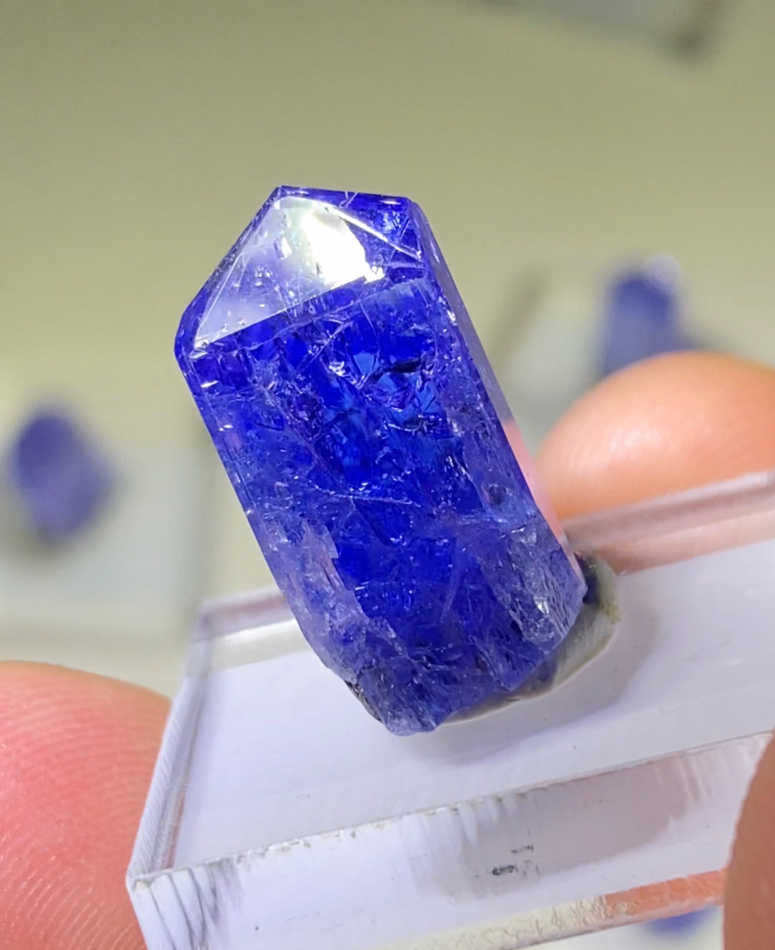 Tanzanite Phantom Twin!