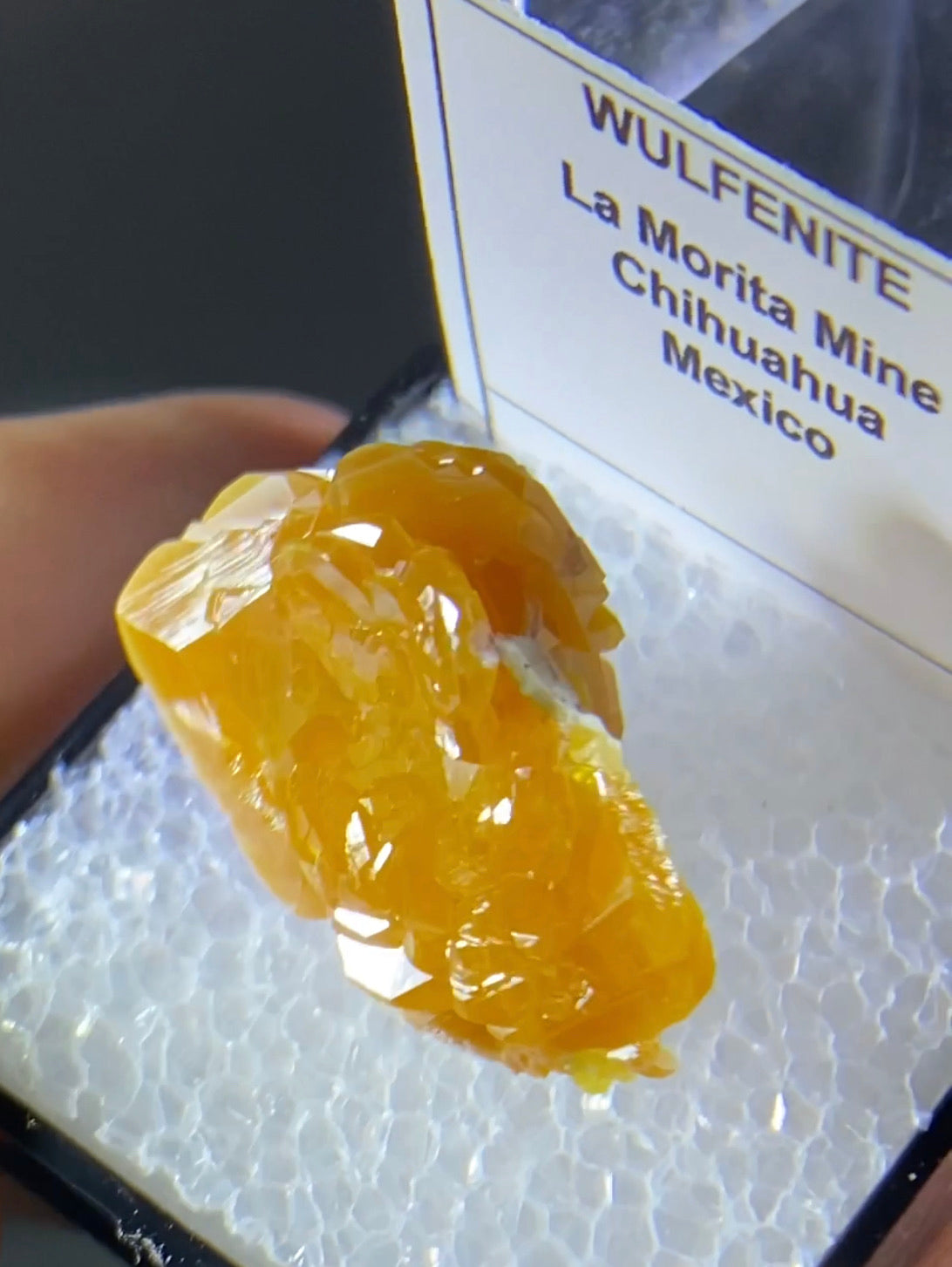 La Morita mine Wulfenite
