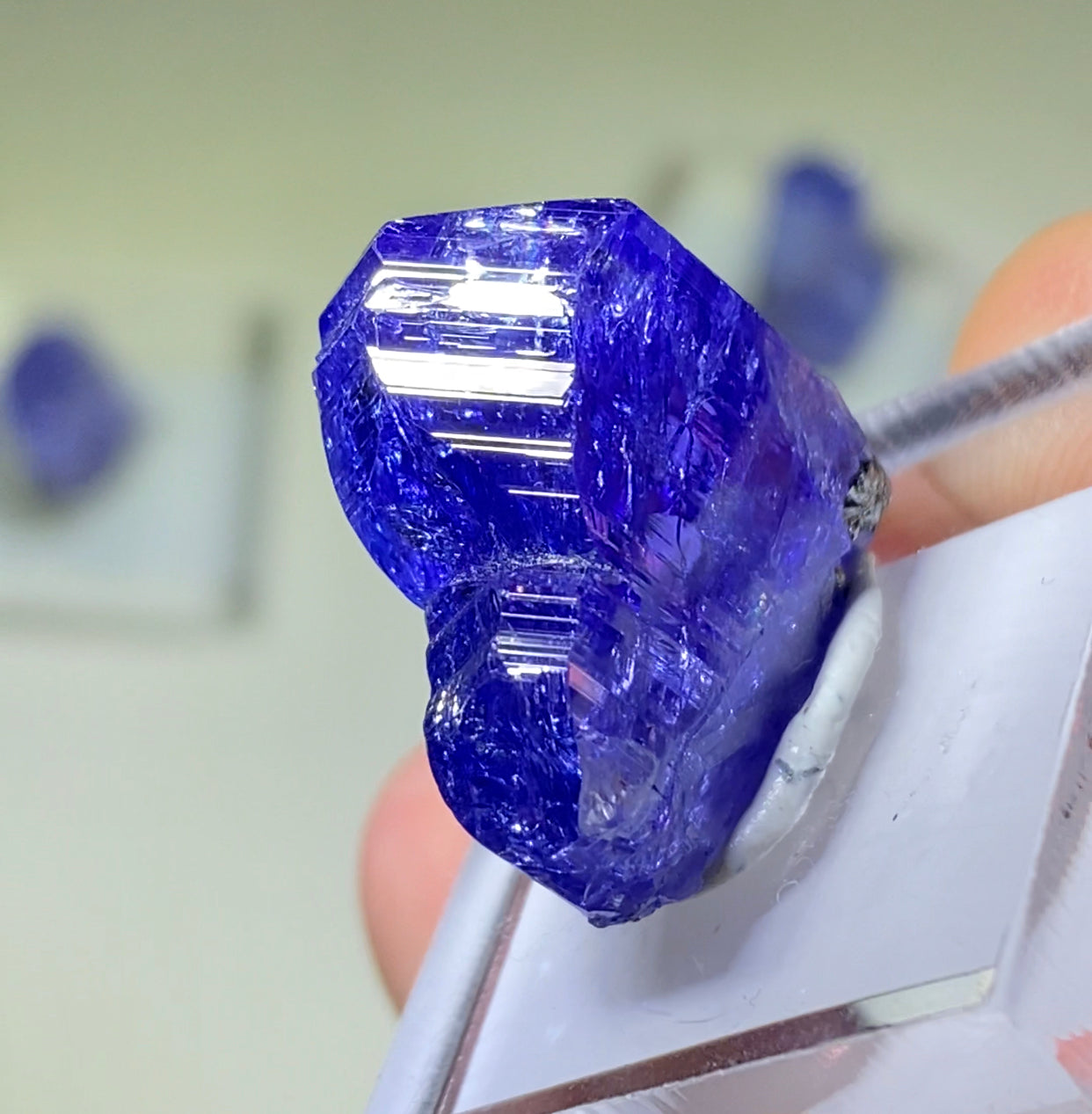 Tanzanite Phantom Twin!