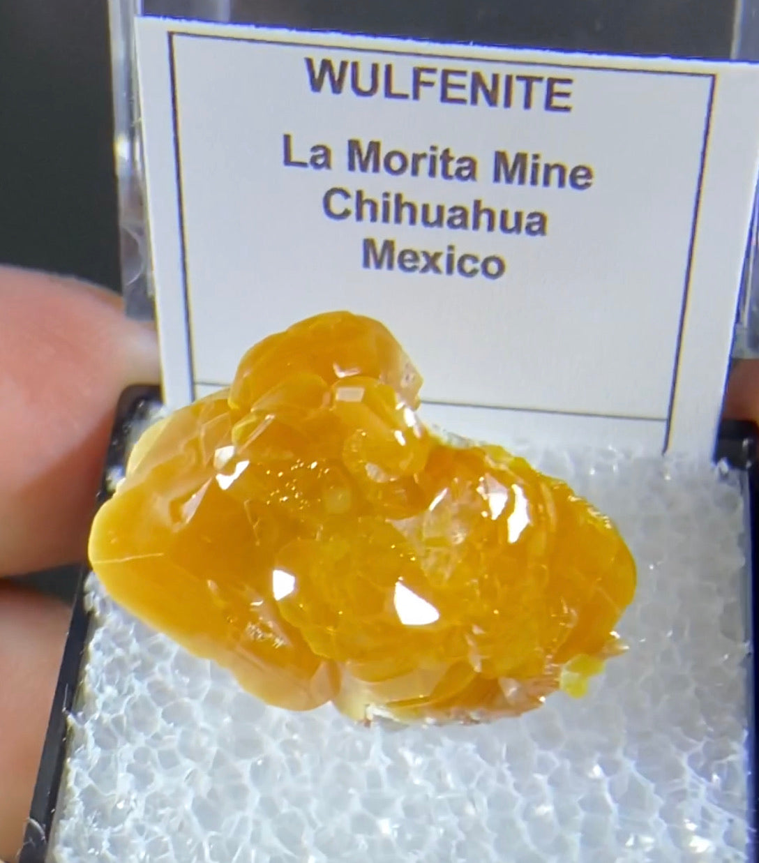 La Morita mine Wulfenite