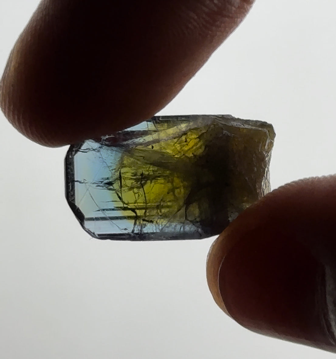 Bicolor Tanzanite