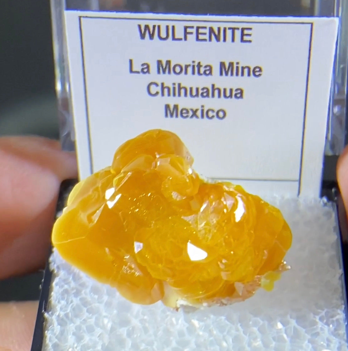 La Morita mine Wulfenite