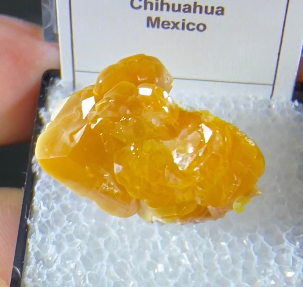 La Morita mine Wulfenite