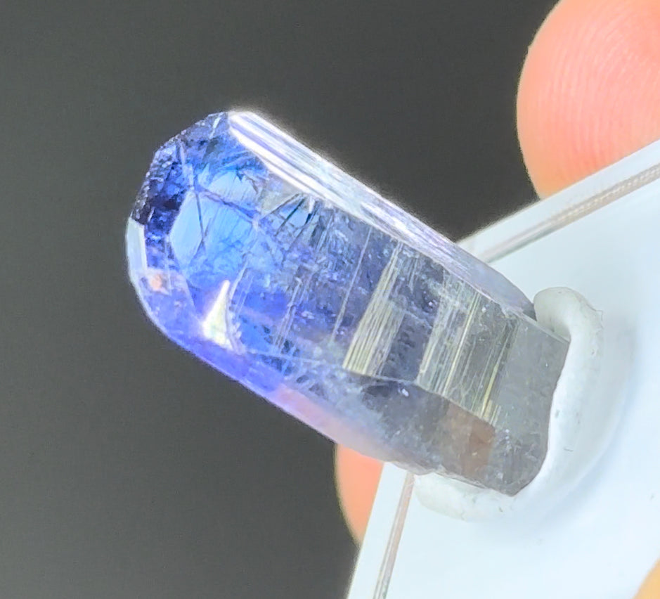 Bicolor Tanzanite