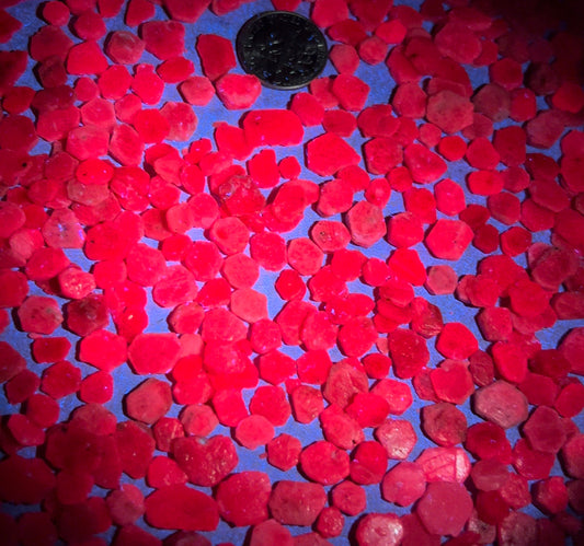 5 Madagascar Ruby Slices