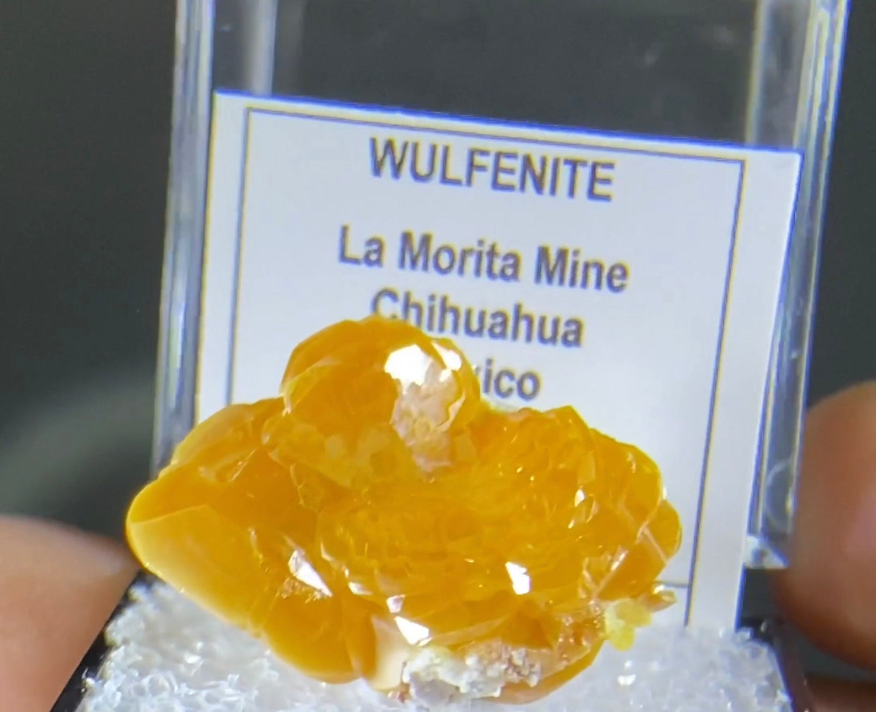 La Morita mine Wulfenite