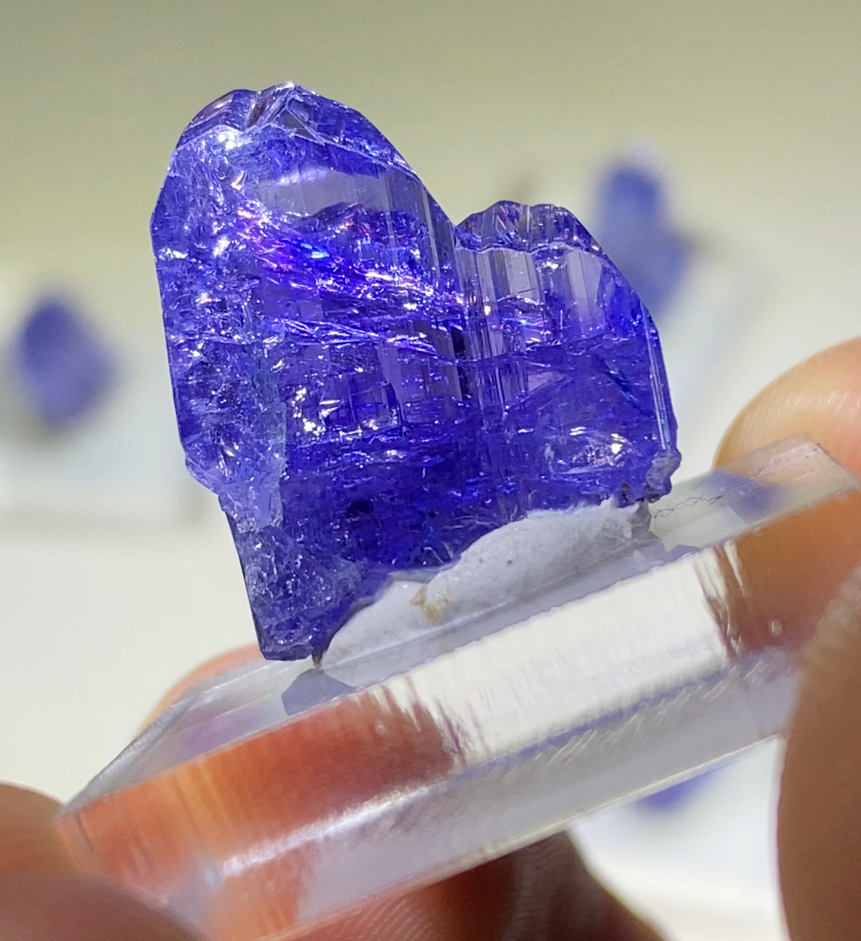 Tanzanite Phantom Twin!