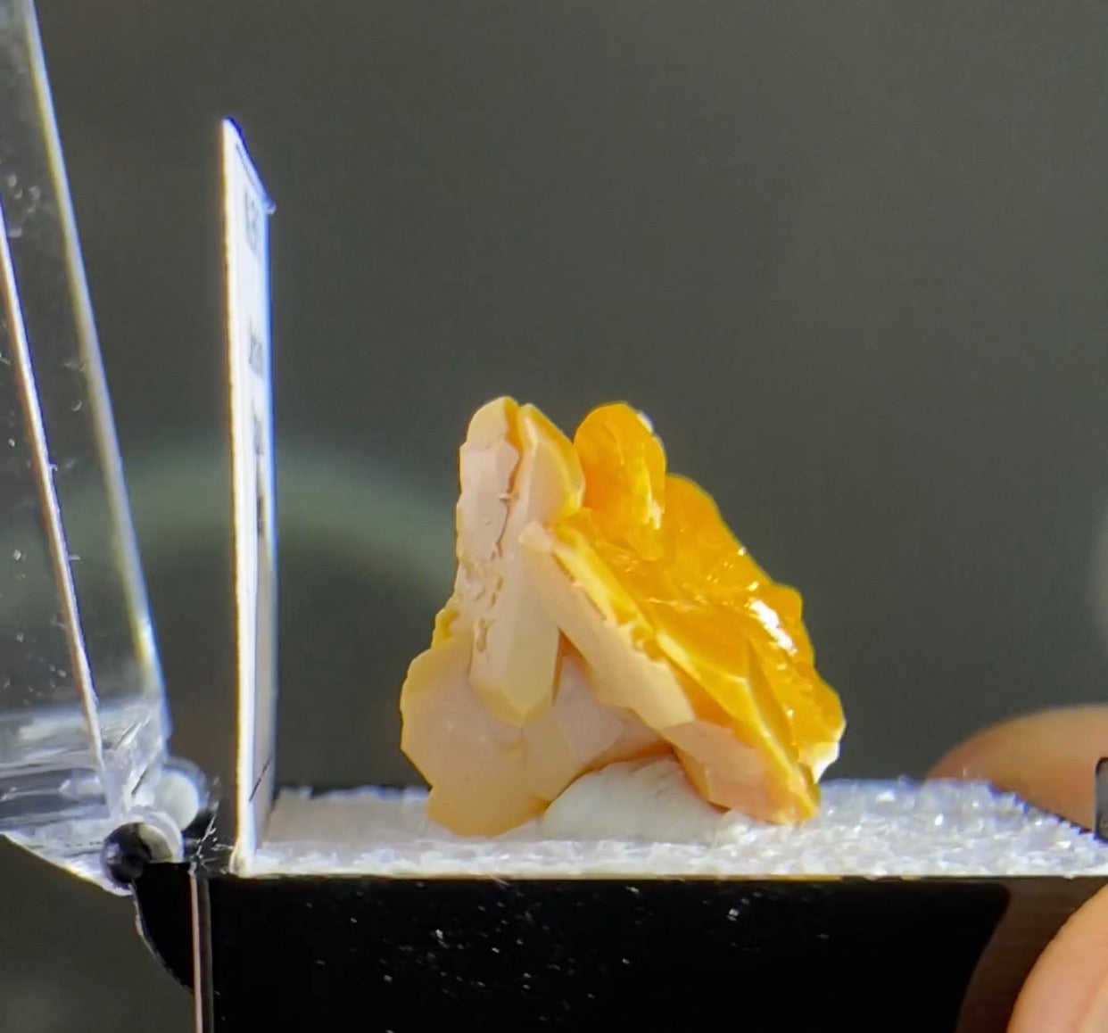 La Morita mine Wulfenite