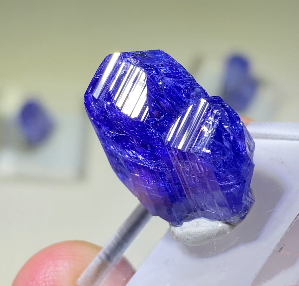Tanzanite Phantom Twin!