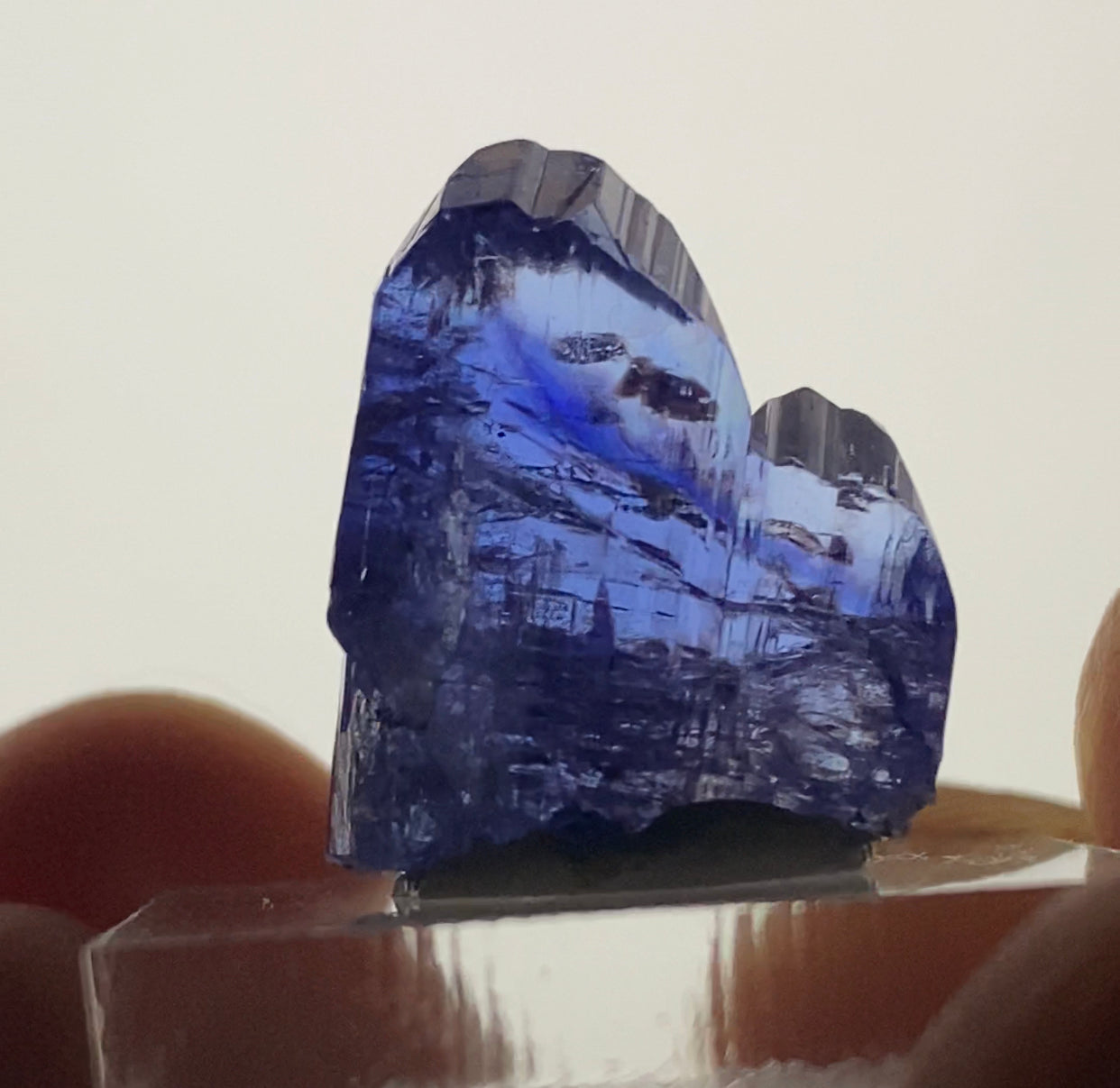 Tanzanite Phantom Twin!
